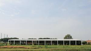 BIARD BENJAMIN - DAVID & BIARD SARL